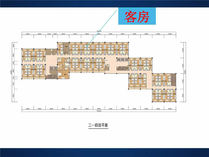 酒店設(shè)計(jì)案例分析